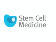 stem cell2